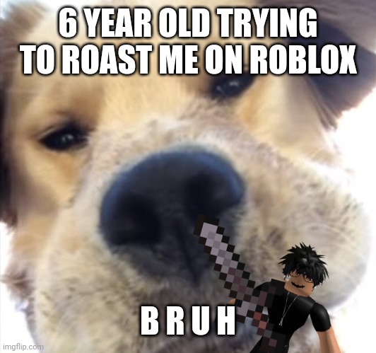 6 YEAR OLD TRYING TO ROAST ME ON ROBLOX; B R U H | image tagged in roblox,bruh,toxic,kids | made w/ Imgflip meme maker