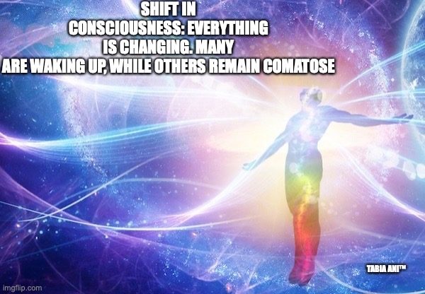 Comatose | SHIFT IN CONSCIOUSNESS: EVERYTHING IS CHANGING. MANY ARE WAKING UP, WHILE OTHERS REMAIN COMATOSE; TABIA ANI™ | image tagged in consciousness | made w/ Imgflip meme maker