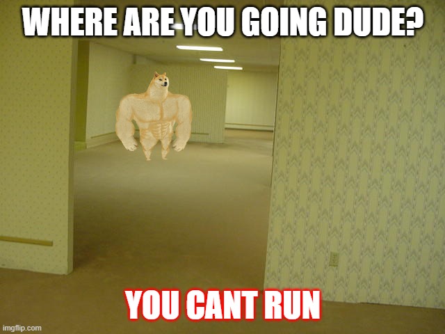 RUN, CHEEMS IS COMING | WHERE ARE YOU GOING DUDE? YOU CANT RUN | image tagged in the backrooms | made w/ Imgflip meme maker