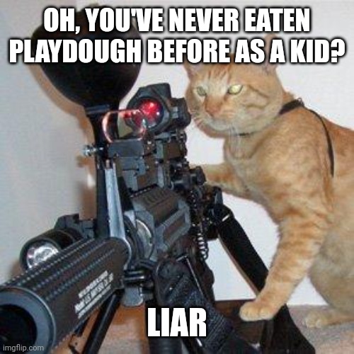 cat with gun | OH, YOU'VE NEVER EATEN PLAYDOUGH BEFORE AS A KID? LIAR | image tagged in cat with gun | made w/ Imgflip meme maker