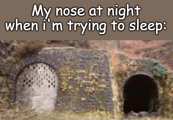 My nose at night when i'm trying to sleep: | image tagged in fun | made w/ Imgflip meme maker