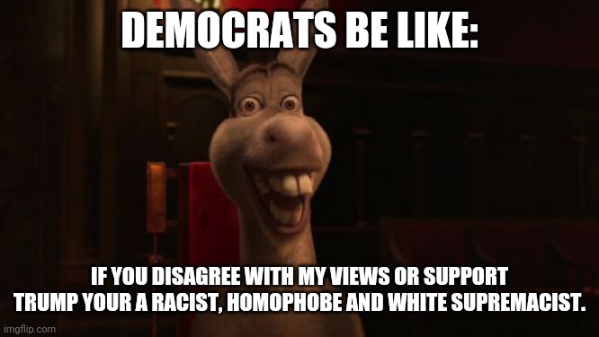 Shrek Donkey | DEMOCRATS BE LIKE: IF YOU DISAGREE WITH MY VIEWS OR SUPPORT TRUMP YOUR A RACIST, HOMOPHOBE AND WHITE SUPREMACIST. | image tagged in shrek donkey | made w/ Imgflip meme maker