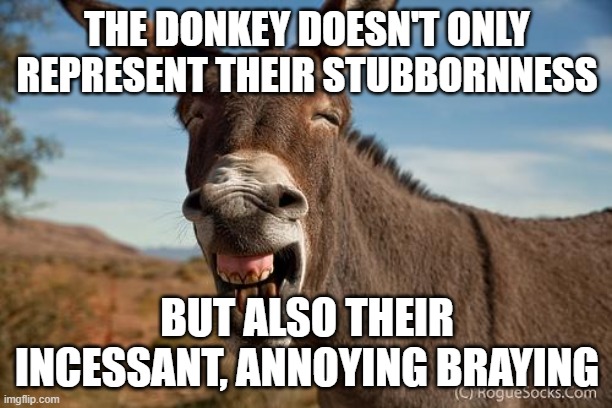Donkey Jackass Braying | THE DONKEY DOESN'T ONLY REPRESENT THEIR STUBBORNNESS BUT ALSO THEIR INCESSANT, ANNOYING BRAYING | image tagged in donkey jackass braying | made w/ Imgflip meme maker