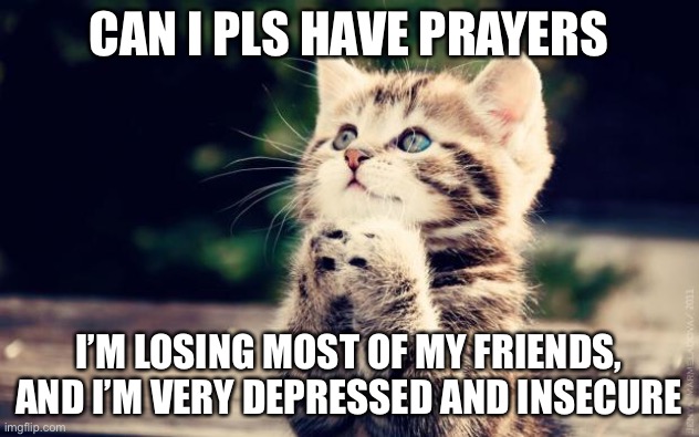 Cute Kitty |  CAN I PLS HAVE PRAYERS; I’M LOSING MOST OF MY FRIENDS, AND I’M VERY DEPRESSED AND INSECURE | image tagged in cute kitty | made w/ Imgflip meme maker
