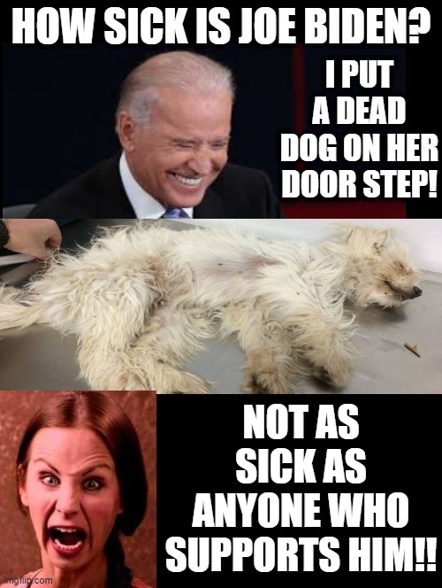 How sick is Joe? Not as sick as ANYONE who support him!! | NOT AS SICK AS ANYONE WHO SUPPORTS HIM!! | image tagged in sick,moron,liberals,biden | made w/ Imgflip meme maker