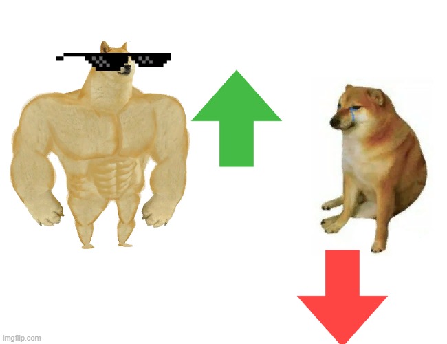 Buff Doge vs. Cheems | image tagged in memes,buff doge vs cheems | made w/ Imgflip meme maker