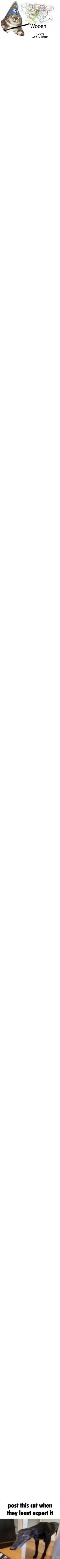 Long Woosh! Blank Meme Template