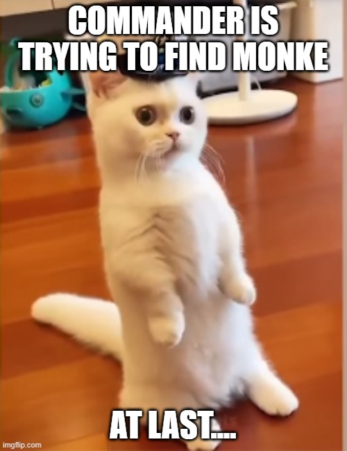 commander | COMMANDER IS TRYING TO FIND MONKE AT LAST.... | image tagged in commander | made w/ Imgflip meme maker