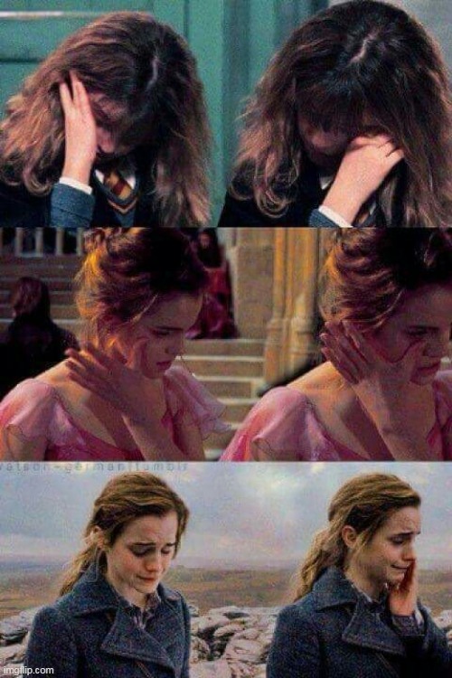 hermione crying | image tagged in hermione crying | made w/ Imgflip meme maker