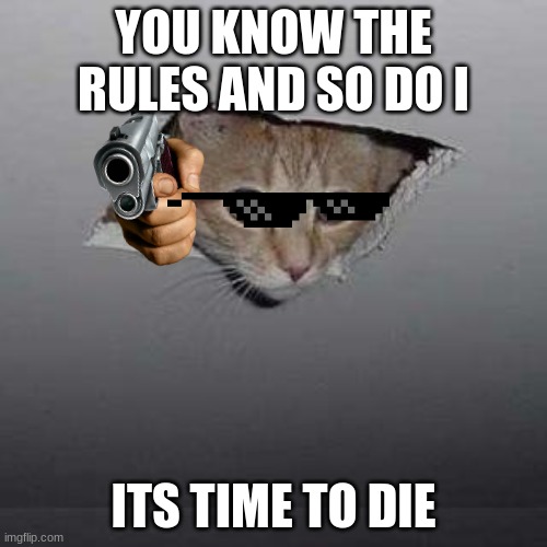 the cat has found me!!!!!! | YOU KNOW THE RULES AND SO DO I; ITS TIME TO DIE | image tagged in memes,ceiling cat | made w/ Imgflip meme maker