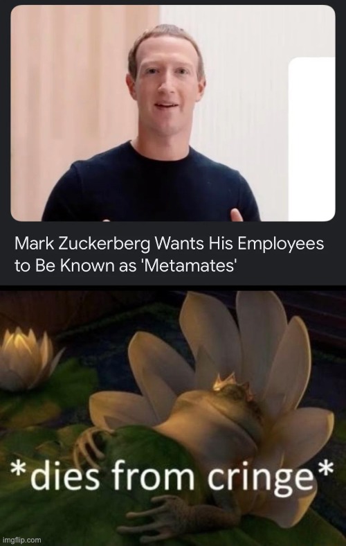 Metamates? Are you serious Mark? | image tagged in dies from cringe,memes,unfunny | made w/ Imgflip meme maker
