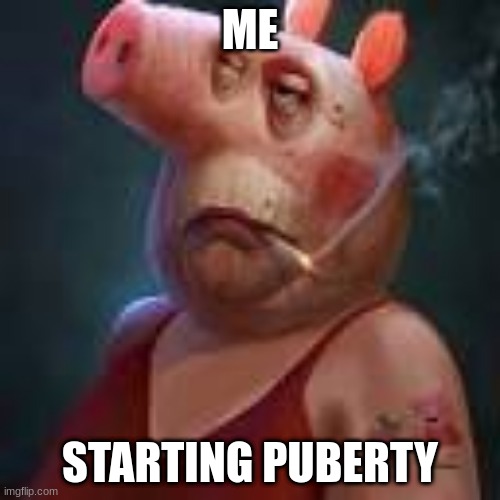 ME; STARTING PUBERTY | image tagged in funny | made w/ Imgflip meme maker