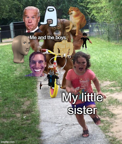 Me and the boys and little sister | Me and the boys; My little sister | image tagged in orangutan chasing girl on a tricycle,memes | made w/ Imgflip meme maker