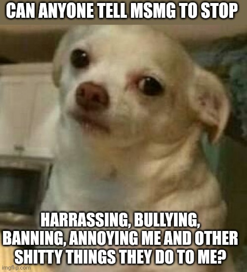 What are they even trying to do? Im posting only in my streams but still they wont leave me alone | CAN ANYONE TELL MSMG TO STOP; HARRASSING, BULLYING, BANNING, ANNOYING ME AND OTHER SHITTY THINGS THEY DO TO ME? | image tagged in disappointed doggo | made w/ Imgflip meme maker