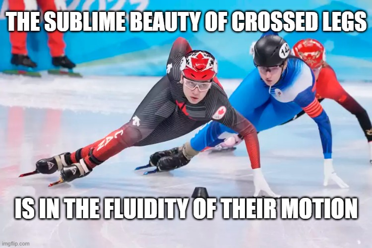 Sublime beauty | THE SUBLIME BEAUTY OF CROSSED LEGS; IS IN THE FLUIDITY OF THEIR MOTION | image tagged in speed skating,strong women | made w/ Imgflip meme maker