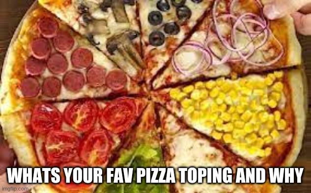 WHATS YOUR FAV PIZZA TOPING AND WHY | image tagged in question | made w/ Imgflip meme maker
