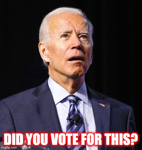 Joe Biden | DID YOU VOTE FOR THIS? | image tagged in joe biden | made w/ Imgflip meme maker