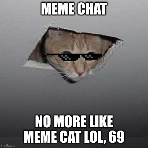 LOL, 69 | MEME CHAT; NO MORE LIKE MEME CAT LOL, 69 | image tagged in memes,ceiling cat | made w/ Imgflip meme maker