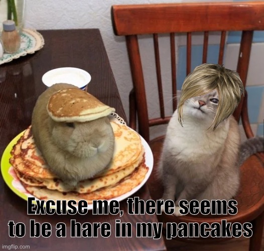 Every Karen ever | Excuse me, there seems to be a hare in my pancakes | image tagged in cats,pancakes | made w/ Imgflip meme maker