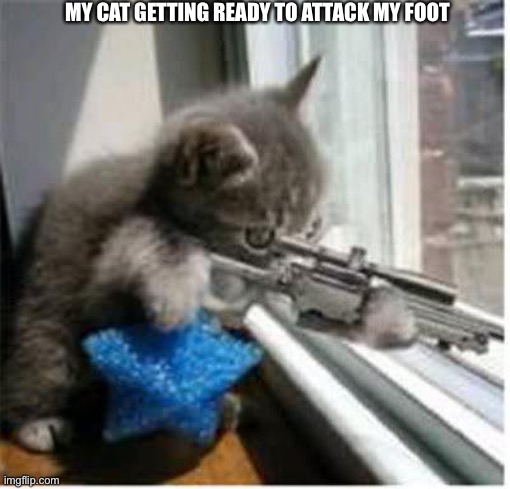 cats with guns | MY CAT GETTING READY TO ATTACK MY FOOT | image tagged in cats with guns | made w/ Imgflip meme maker