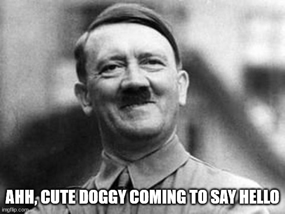 adolf hitler | AHH, CUTE DOGGY COMING TO SAY HELLO | image tagged in adolf hitler | made w/ Imgflip meme maker