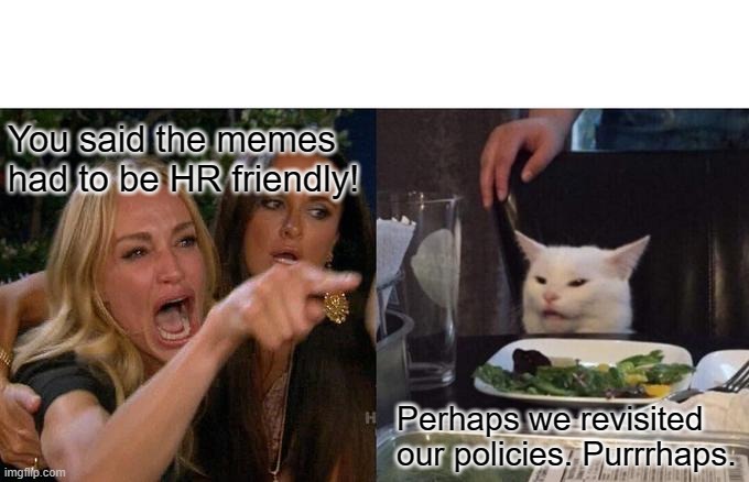 HR Friendly Memes | You said the memes had to be HR friendly! Perhaps we revisited our policies. Purrrhaps. | image tagged in memes,woman yelling at cat | made w/ Imgflip meme maker