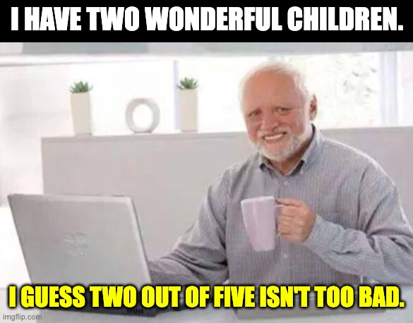 Wonderful | I HAVE TWO WONDERFUL CHILDREN. I GUESS TWO OUT OF FIVE ISN'T TOO BAD. | image tagged in harold | made w/ Imgflip meme maker