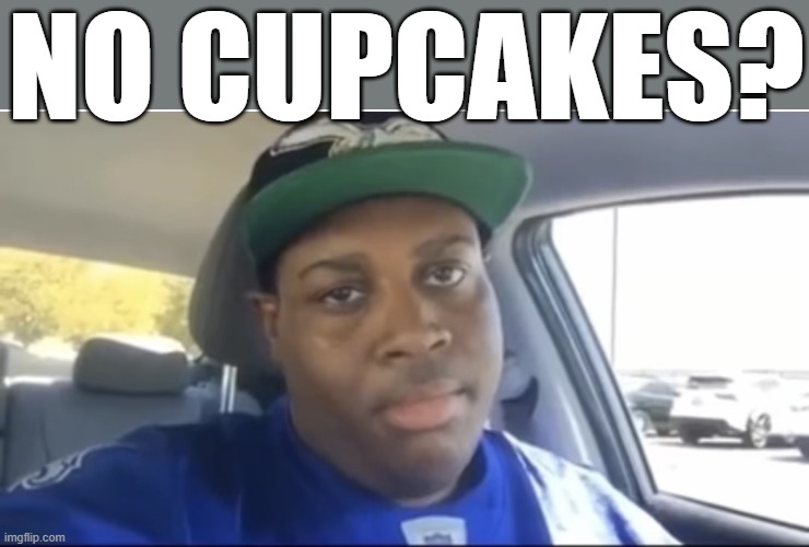 Thank u so much… for wasting my time | NO CUPCAKES? | image tagged in thank u so much for wasting my time | made w/ Imgflip meme maker
