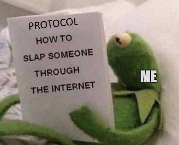 problem solver! | PROTOCOL; ME | image tagged in kermit how to slap someone through the internet,kermit the frog,evil kermit | made w/ Imgflip meme maker