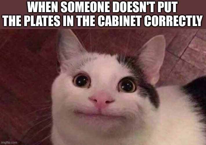 I DO IT BY COLORS THEY KNOW THIS | WHEN SOMEONE DOESN'T PUT THE PLATES IN THE CABINET CORRECTLY | image tagged in i'm ok with this | made w/ Imgflip meme maker