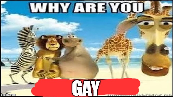why are you horny | GAY | image tagged in why are you horny | made w/ Imgflip meme maker