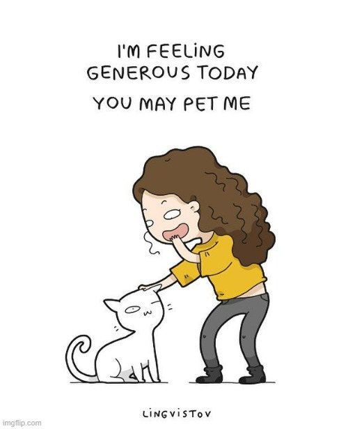 A Cat's Way Of Thinking | image tagged in memes,comics,cats,pet,me,i'll allow it | made w/ Imgflip meme maker