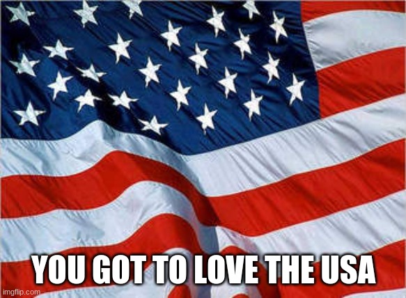USA Flag | YOU GOT TO LOVE THE USA | image tagged in usa flag | made w/ Imgflip meme maker