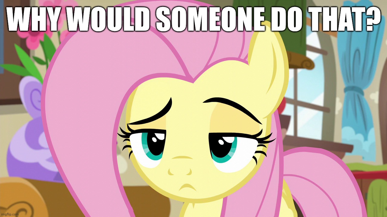 Skeptical Fluttershy (MLP) | WHY WOULD SOMEONE DO THAT? | image tagged in skeptical fluttershy mlp | made w/ Imgflip meme maker