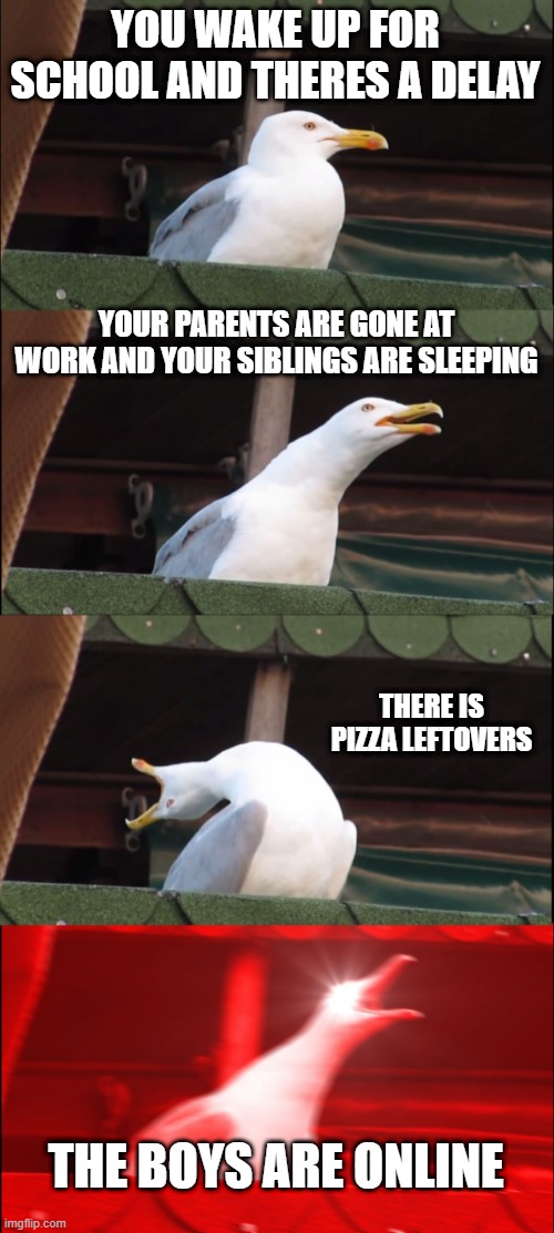 Inhaling Seagull | YOU WAKE UP FOR SCHOOL AND THERES A DELAY; YOUR PARENTS ARE GONE AT WORK AND YOUR SIBLINGS ARE SLEEPING; THERE IS PIZZA LEFTOVERS; THE BOYS ARE ONLINE | image tagged in memes,inhaling seagull | made w/ Imgflip meme maker