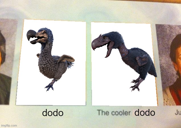 the cooler dodo | dodo; dodo | image tagged in daniel the cooler daniel blank,ark survival evolved | made w/ Imgflip meme maker