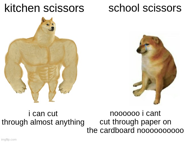 my scissors can barely cut through cardboard |  kitchen scissors; school scissors; noooooo i cant cut through paper on the cardboard noooooooooo; i can cut through almost anything | image tagged in memes,buff doge vs cheems,scissors | made w/ Imgflip meme maker