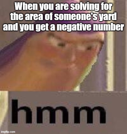Of course my yard is -24 square meters | When you are solving for the area of someone's yard and you get a negative number | image tagged in buzz lightyear hmm | made w/ Imgflip meme maker
