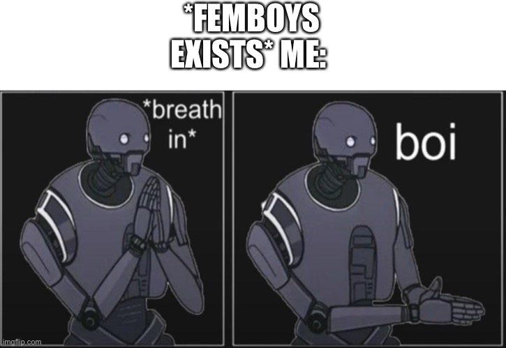 Star Wars *breath in* boi | *FEMBOYS EXISTS* ME: | image tagged in star wars breath in boi | made w/ Imgflip meme maker