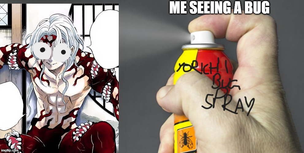 Yorichi bug spray | ME SEEING A BUG | image tagged in funny meme | made w/ Imgflip meme maker