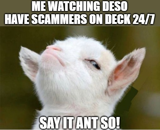 me no fool |  ME WATCHING DESO HAVE SCAMMERS ON DECK 24/7; SAY IT ANT SO! | image tagged in suspicious sheep,sheep,suspicious,sheeple | made w/ Imgflip meme maker