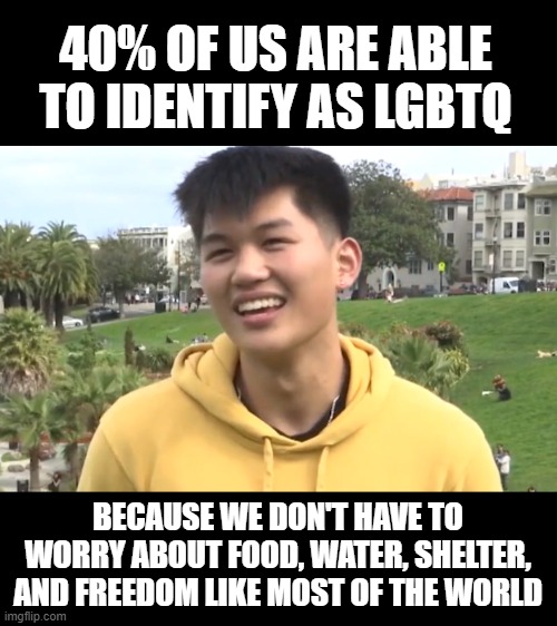Dumb Gen Z | 40% OF US ARE ABLE TO IDENTIFY AS LGBTQ; BECAUSE WE DON'T HAVE TO WORRY ABOUT FOOD, WATER, SHELTER, AND FREEDOM LIKE MOST OF THE WORLD | image tagged in dumb gen z | made w/ Imgflip meme maker
