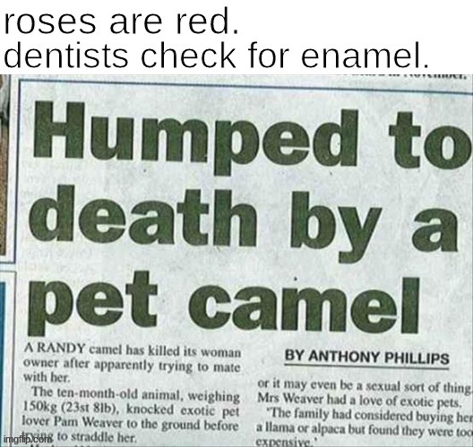 roses are red | image tagged in memes,roses are red,news | made w/ Imgflip meme maker