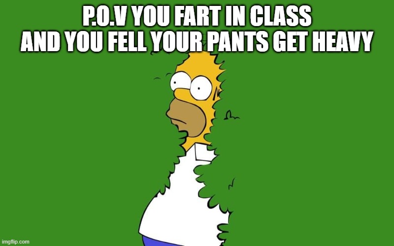 you fart in class | P.O.V YOU FART IN CLASS AND YOU FELL YOUR PANTS GET HEAVY | image tagged in funny | made w/ Imgflip meme maker