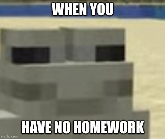 you when | WHEN YOU; HAVE NO HOMEWORK | image tagged in chill frog | made w/ Imgflip meme maker