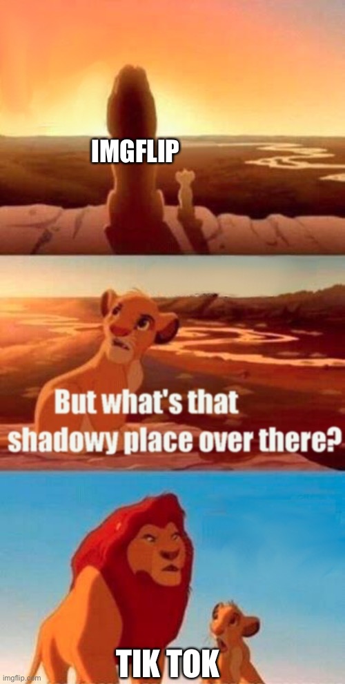 Simba Shadowy Place | IMGFLIP; TIK TOK | image tagged in memes,simba shadowy place | made w/ Imgflip meme maker