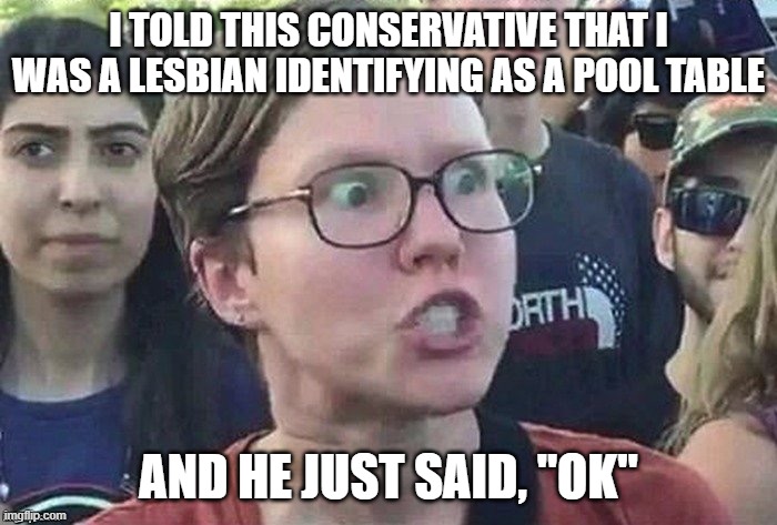 What they fear more than hate: Indifference! | I TOLD THIS CONSERVATIVE THAT I WAS A LESBIAN IDENTIFYING AS A POOL TABLE; AND HE JUST SAID, "OK" | image tagged in triggered liberal,gender identity | made w/ Imgflip meme maker