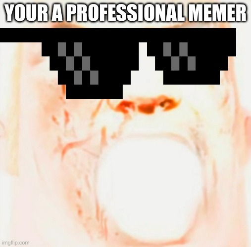 Mr incredible meme god tier | YOUR A PROFESSIONAL MEMER | image tagged in mr incredible meme god tier | made w/ Imgflip meme maker