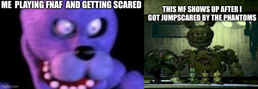 ME  PLAYING FNAF  AND GETTING SCARED; THIS MF SHOWS UP AFTER I GOT JUMPSCARED BY THE PHANTOMS | image tagged in fnaf springtrap in window,so true memes | made w/ Imgflip meme maker