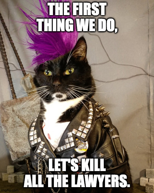 Kill the Lawyers first! | THE FIRST THING WE DO, LET'S KILL ALL THE LAWYERS. | image tagged in punk rock,kitty,cat,lawyer,anarchy | made w/ Imgflip meme maker